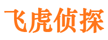 武汉侦探公司